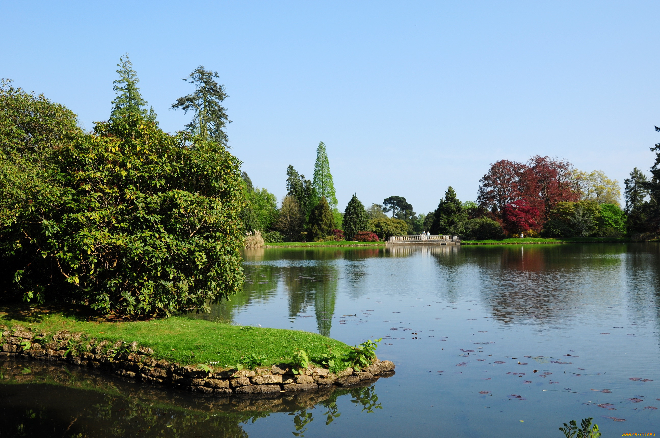 sheffield park garden england, , , england, park, garden, sheffield, , 